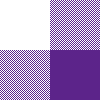 Yocheved Gingham purple