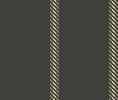 HD new stripe 2