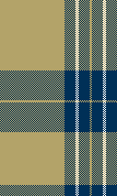 GT Plaid 2