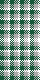 Silvertip Plaid