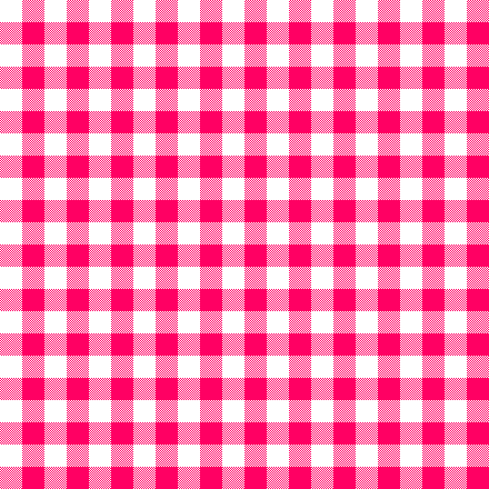 Hot pink gingham