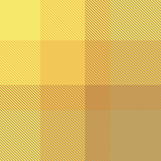 JoanaFavPlaid6