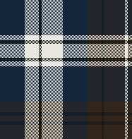 COUNTRYMAN CHECK