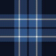 NAVY TRAIL PLAID