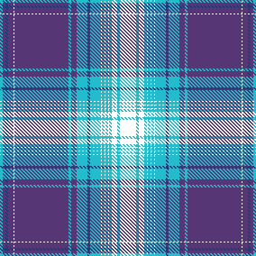 AW27 MDAY CHECK PURPLE