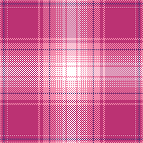 AW27 MDAY CHECK PINK
