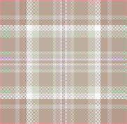 BAD PLAID