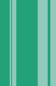 ZL new wide stripe 1