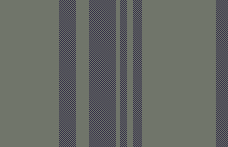 ZH new wide stripe 3