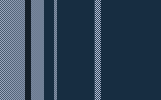 ZL new stripe 1