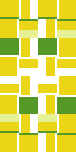 yellow olive checks by sachin