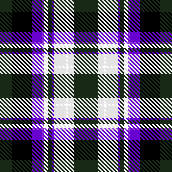 ender plaid
