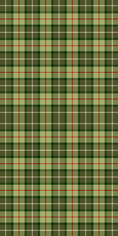 Perfect tartan for Erin!